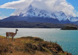 Pasajes de Bus de Puerto Natales a Torres del Paine